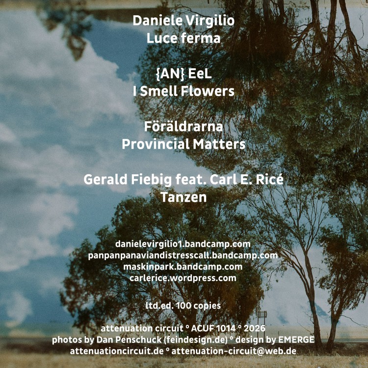 Daniele Virgilio I {AN} EeL I Föräldrarna I Gerald Fiebig feat. Carl E. Ricé THING cover back
