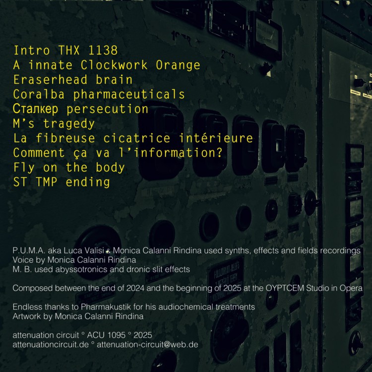 M. B. & P.U.M.A. Moho Abyss cover back