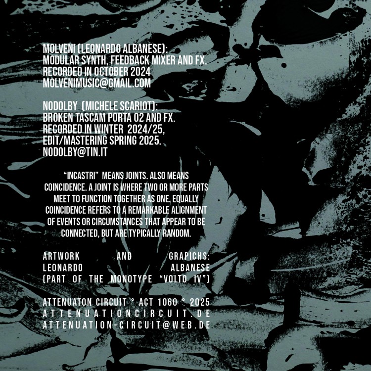 Molveni I Nodolby Incastri cover back