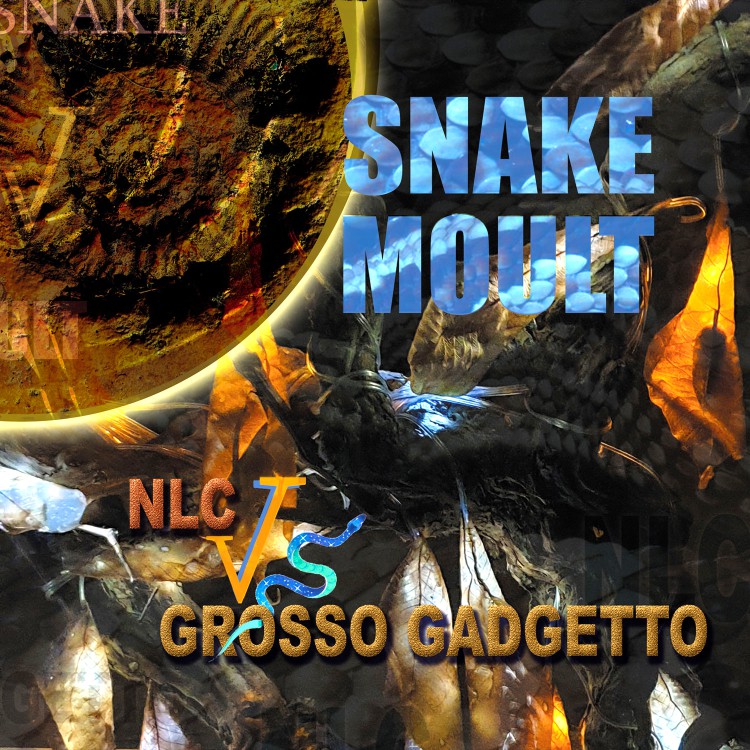 NLC vs GROSSO GADGETTO SNAKE MOULT cover front