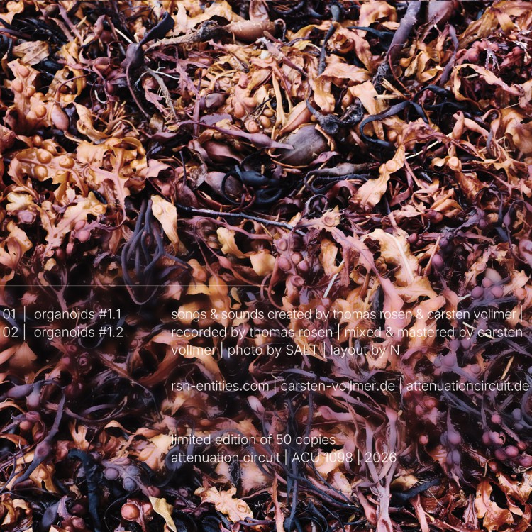 rsn | Carsten Vollmer organoids #1 cover back