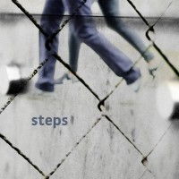 EMERGE steps