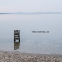 Gerald Fiebig / EMERGE / Limited Liability Sounds FIEBIG / EMERGE / LLS