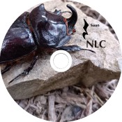 NLC Suun Inlay