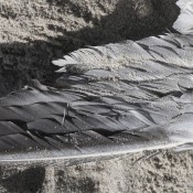 N(124) / [ B O L T ] / Volker Kamp Untitled (seagull) Inlay