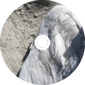 N(124) / [ B O L T ] / Volker Kamp Untitled (seagull) Inlay