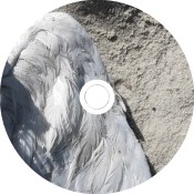 N(124) / [ B O L T ] / Volker Kamp Untitled (seagull) Inlay