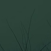 KPA Prepare for the Worst Inlay