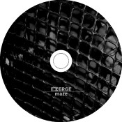 EMERGE maze Inlay