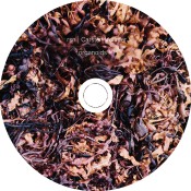 rsn | Carsten Vollmer organoids #1 Inlay